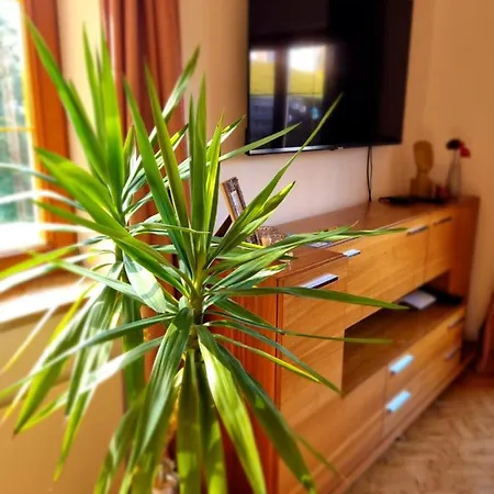 Fridas Place - Der Blick Ueber Ganz - 160 M2 Ferienoase - Ganzes Haus Bis Zu 8 Personen Casa vacanze