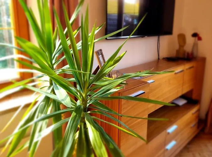 Fridas Place - Der Blick Ueber Ganz - 160 M2 Ferienoase - Ganzes Haus Bis Zu 8 Personen Holiday home